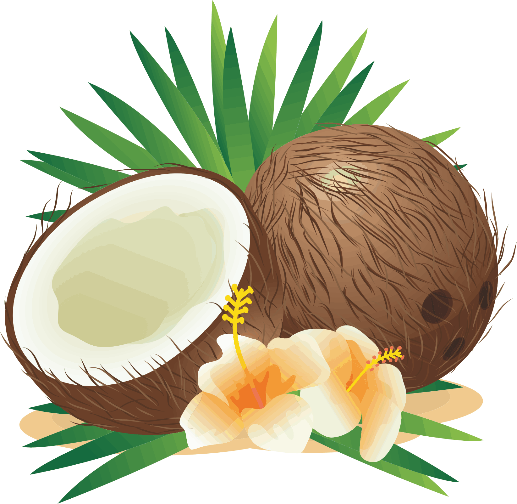 Virgin Coconut Oil Keramruth